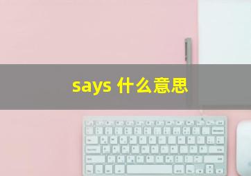 says 什么意思